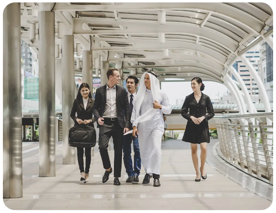 About Ovid Media Qatar